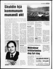 Síða 6