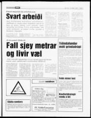 Síða 7
