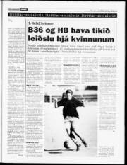 Síða 13