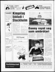 Síða 20