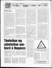 Síða 2