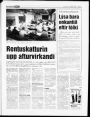 Síða 3