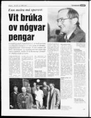 Síða 8