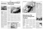 Síða 4