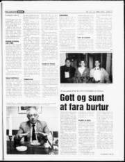 Síða 17