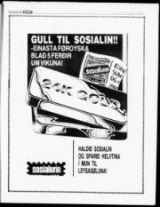 Síða 23