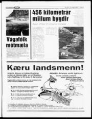 Síða 3