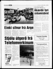 Síða 5