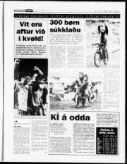 Síða 13