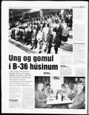 Síða 4
