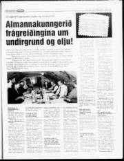 Síða 17