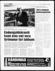 Síða 3