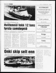 Síða 5