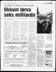 Síða 6