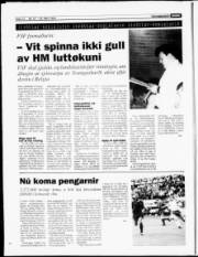 Síða 12