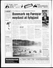 Síða 20