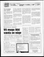 Síða 2