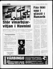 Síða 3