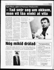 Síða 6