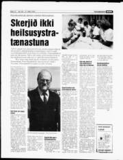Síða 12