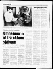 Síða 13