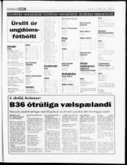 Síða 19