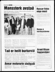 Síða 5