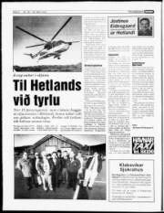 Síða 6