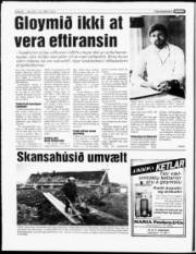 Síða 8