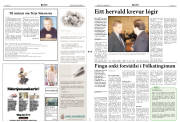 Síða 2