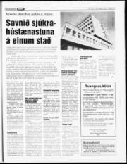 Síða 19