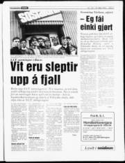 Síða 3