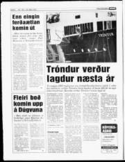 Síða 6