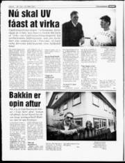 Síða 8