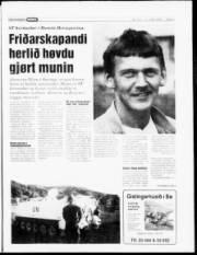 Síða 5