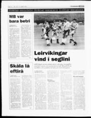 Síða 12