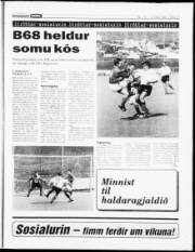 Síða 15