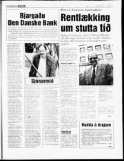 Síða 17
