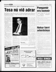 Síða 3
