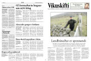 Síða 8