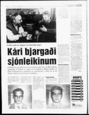 Síða 6