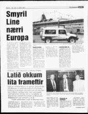 Síða 8