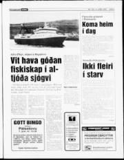 Síða 3