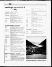 Síða 11