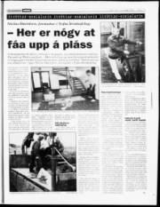 Síða 13