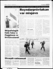 Síða 14