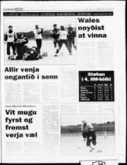 Síða 15