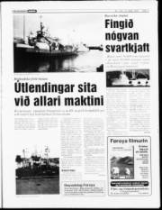 Síða 3