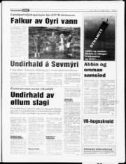 Síða 7