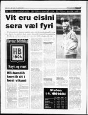 Síða 12